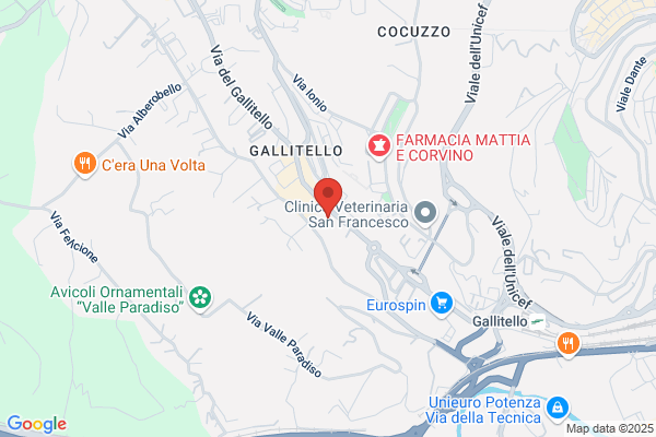 Ortopedia Abilitativi Tecnomedical Di Basentini Alfredo