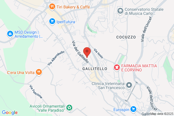Lavanderia E Tintoria Regionale