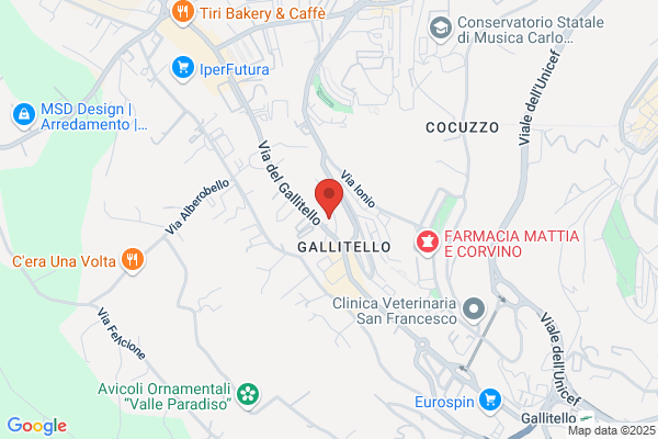 Salmoiraghi & Viganò