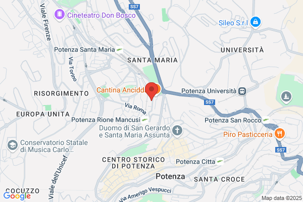 Locaspi nicola (Geom.)
