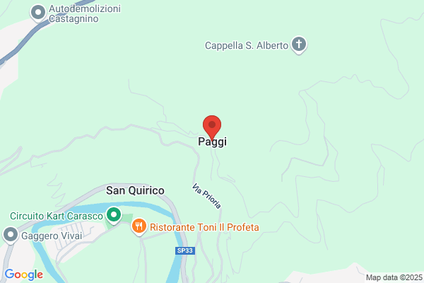 Paggi sergio