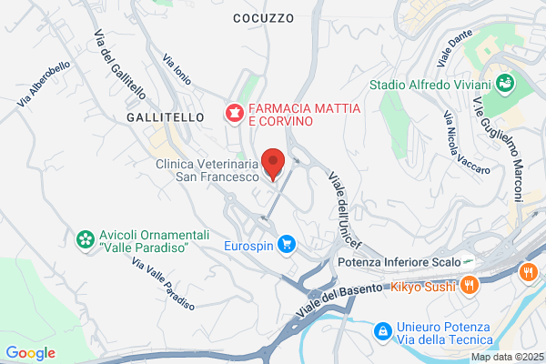 Clinica Veterinaria San Francesco