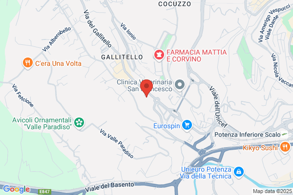Gala Distribuzione