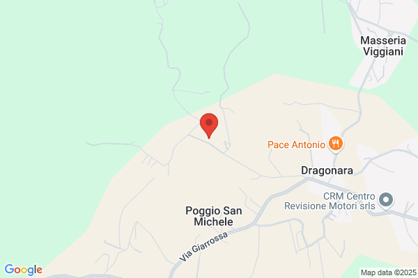 Ristorante Pizzeria Al Drago