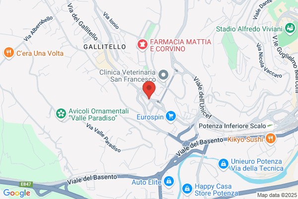 Maca Planner