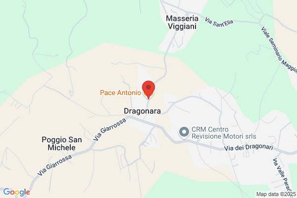 Pace antonio