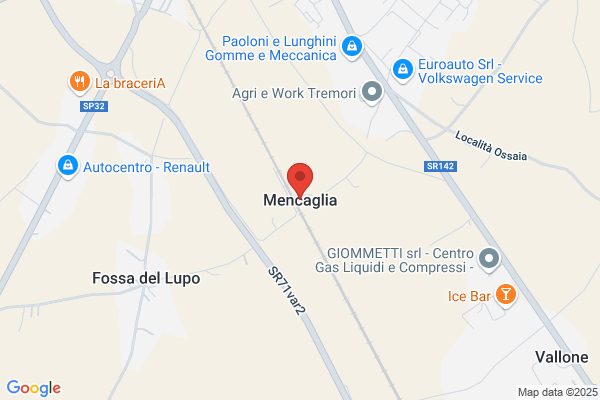 Menicaglia alvaro
