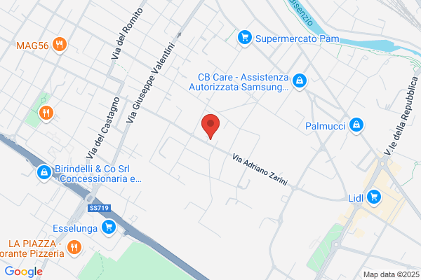 Senesi silvia