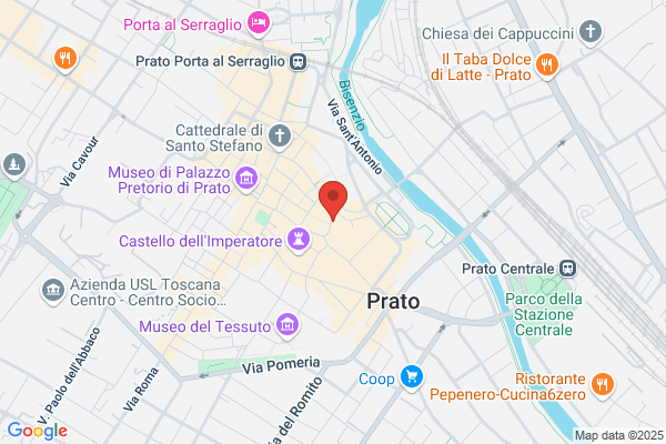 Istituto Ricerche Interventi Sociali