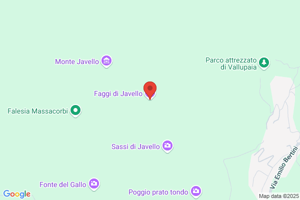 Faggi Giulietta