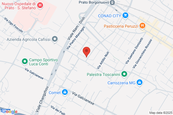 Mastropieri pasquale (Geom.)