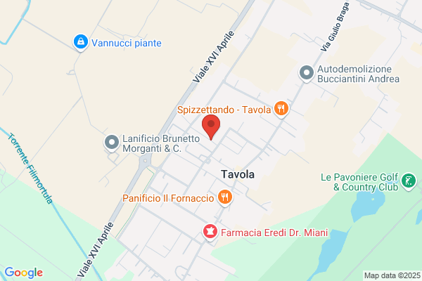 Futura Jersey Di Cecconi E Pretosi (S.N.C)
