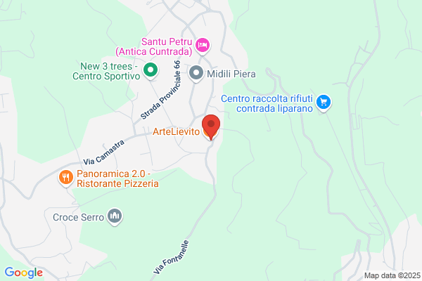 ArteLievito