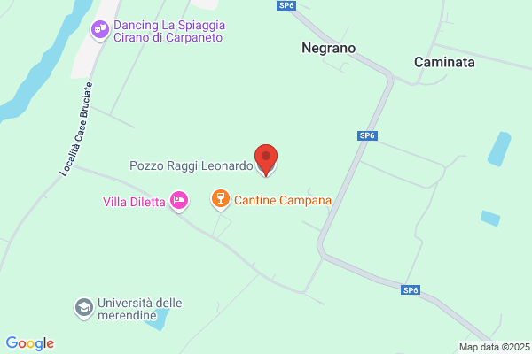 Piacentino leonarda