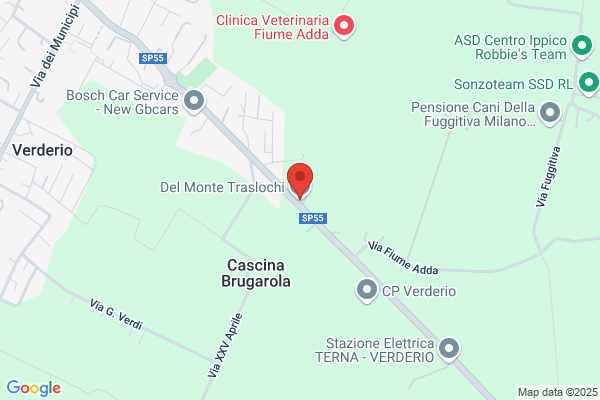 Del Monte Traslochi