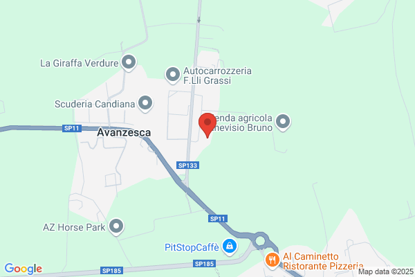 Fontana Ettore
