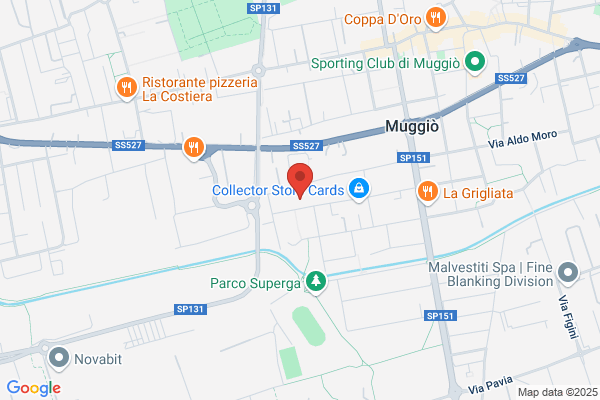 Gomed Srl