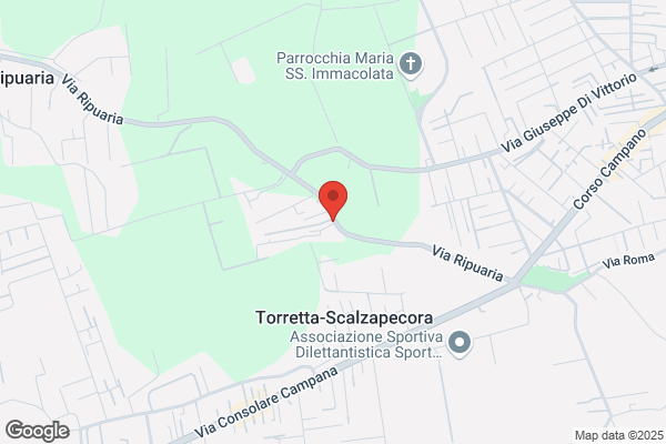 Eurogiardinaggio Di Maisto Nicola Srl