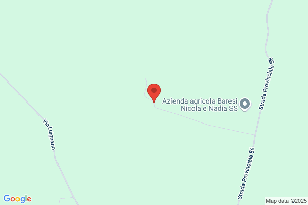 Rinaldi Scazzoli roberta