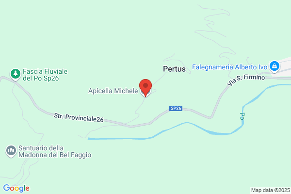 Apicella michele