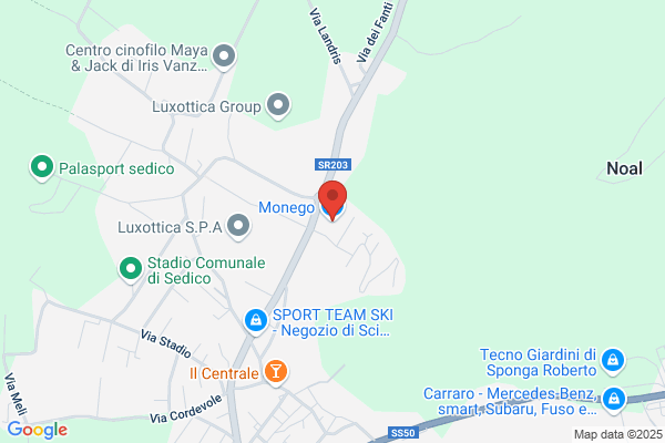 Monego roberto