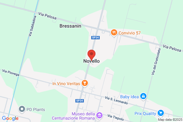 Novello adriana