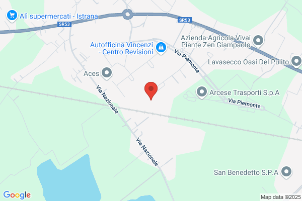 Altana S.P.A.