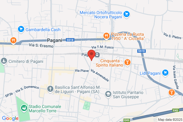 Tortora michele