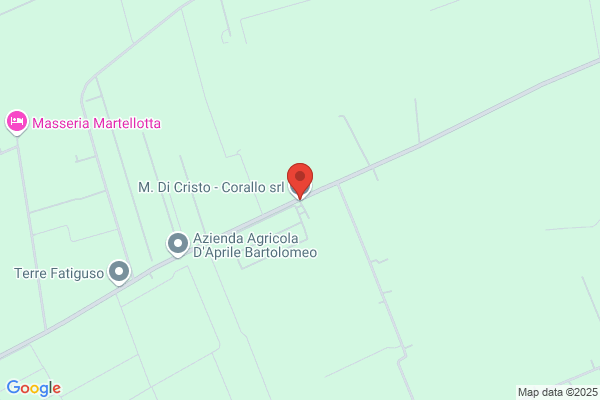 G. Costa S.R.L.