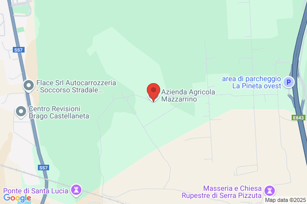 Mazzarino domenico