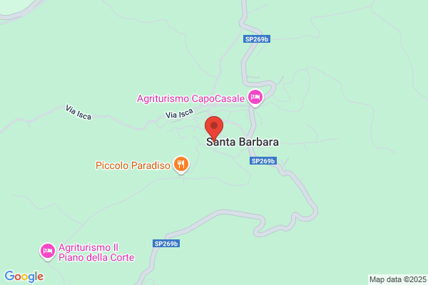Santamaria leonardo (Geom.)