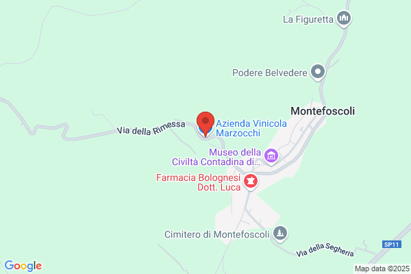 Azienda Vinicola Marzocchi