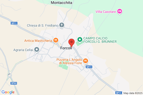 Fogli Eda