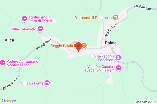Parrocchia Di Palaia
