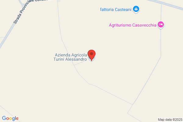 Turini alessandro