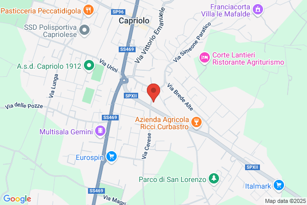 Pini Assicurazioni