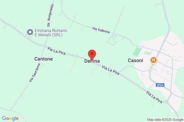 Nee delfina