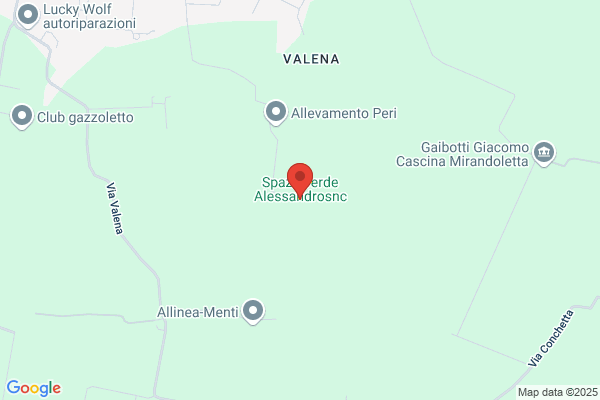 Gasatura E Aspatura Di Belotti Bruno & c. (S.N.C.)