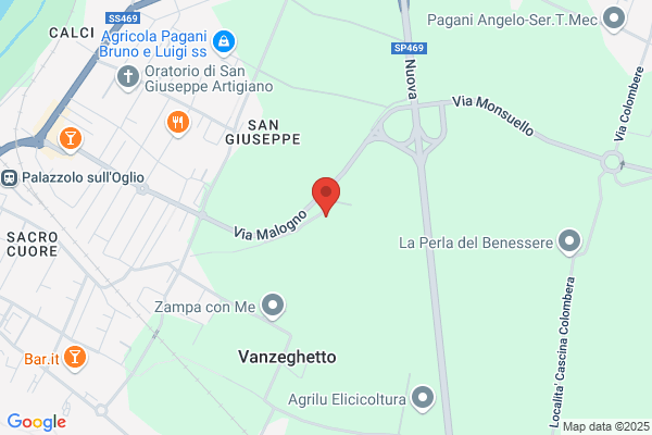 Gps Di Pasinelli E Zanni (S.N.C.)