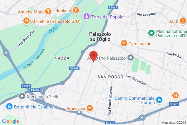Partito Dei Democratici Di Sinistra Sezione Di palazzolo