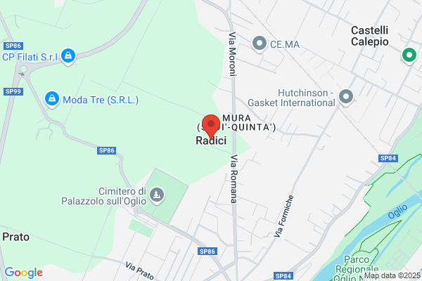 Radici antonio