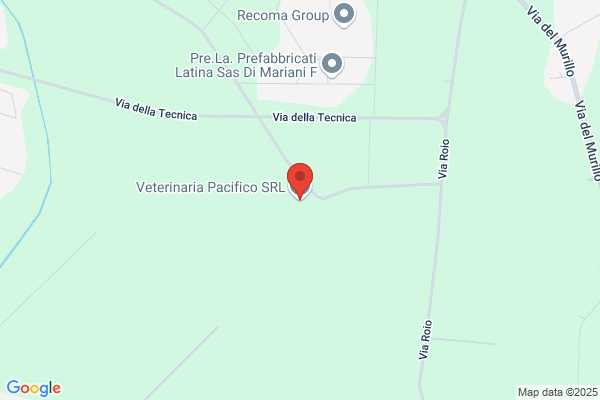 Sermoneta pacifico