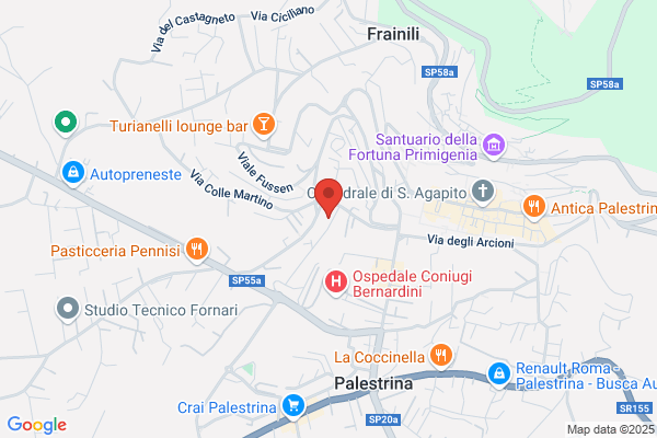 Studio Palestrina Centro Srl