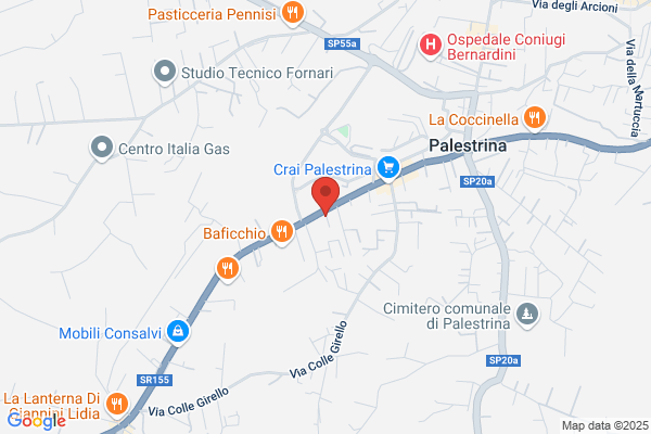 Pinci enrico (Rag.)