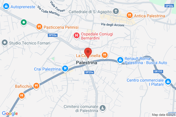 Amplifon Viale Pio XII, Palestrina