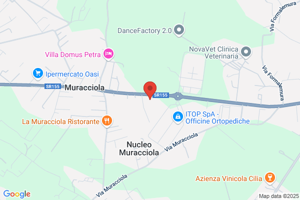 Todis - Supermercato (Palestrina - via Prenestina Nuova)