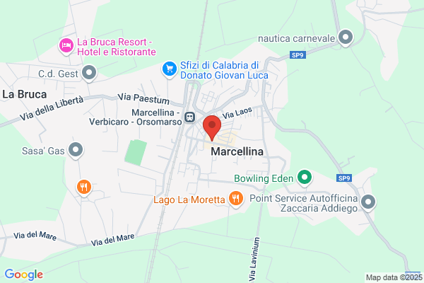 Marcellitto daniela