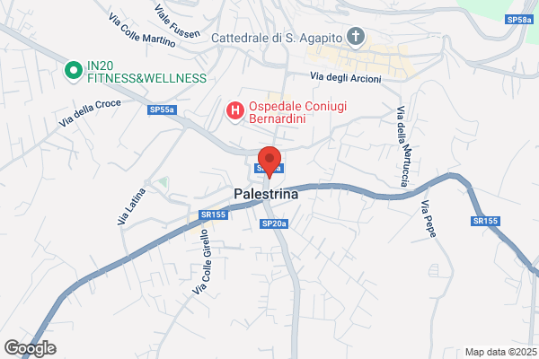 Praeneste Consulting