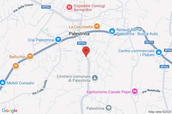 Tv Radio Palestrina S.R.L.