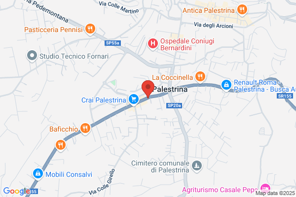 Pt Palestrina